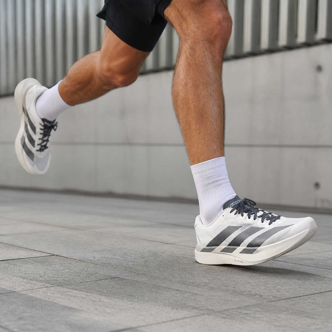 נעלי ריצה לגברים adidas adizero Evo SL M לבן/כחול על הרגל